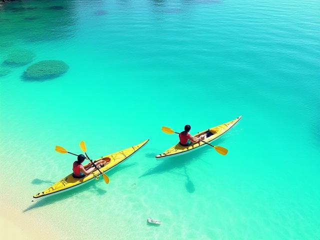 鹿児島海岸でのカヤックと清掃活動
